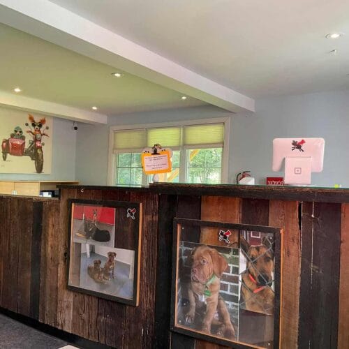 Super Puppy Éducation