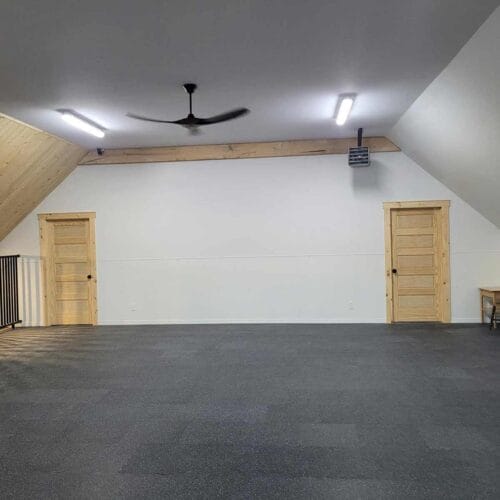 Super Puppy programme entraînement chien