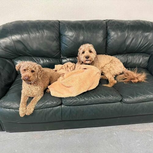 Pension chine Canton-de-l'Est