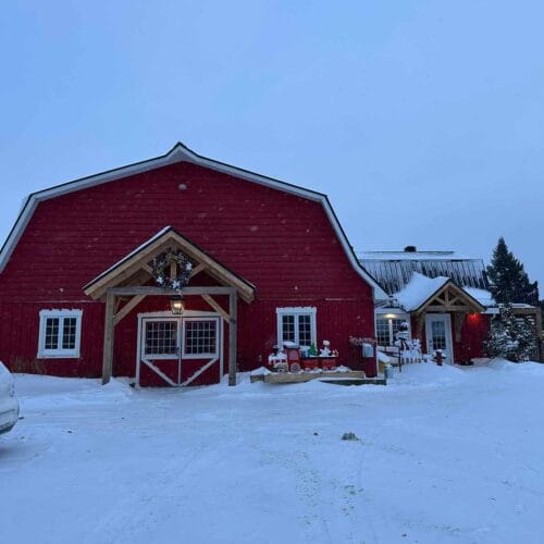 Super Puppy Éducation